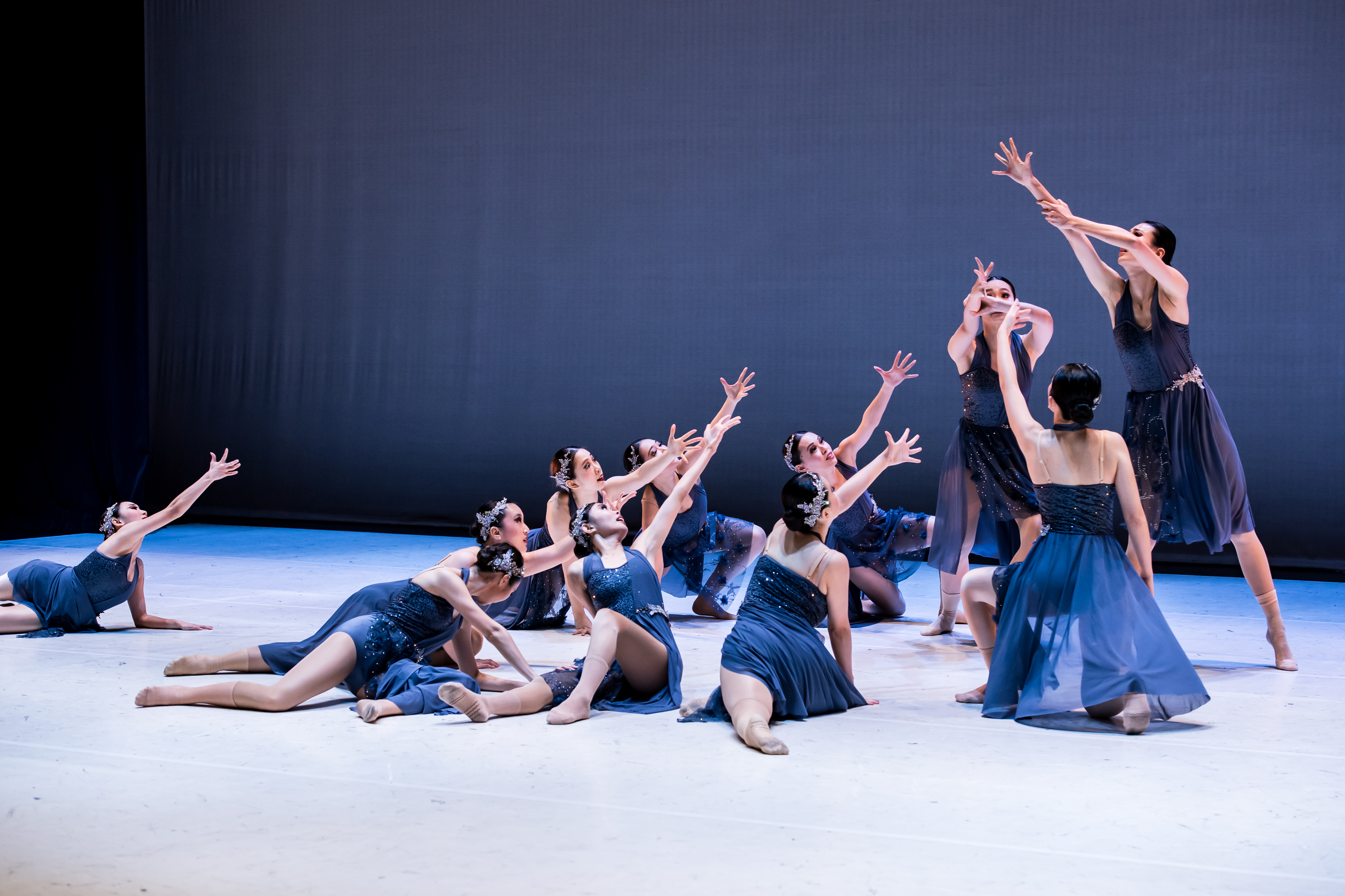 20241208 Palette in Motion_15