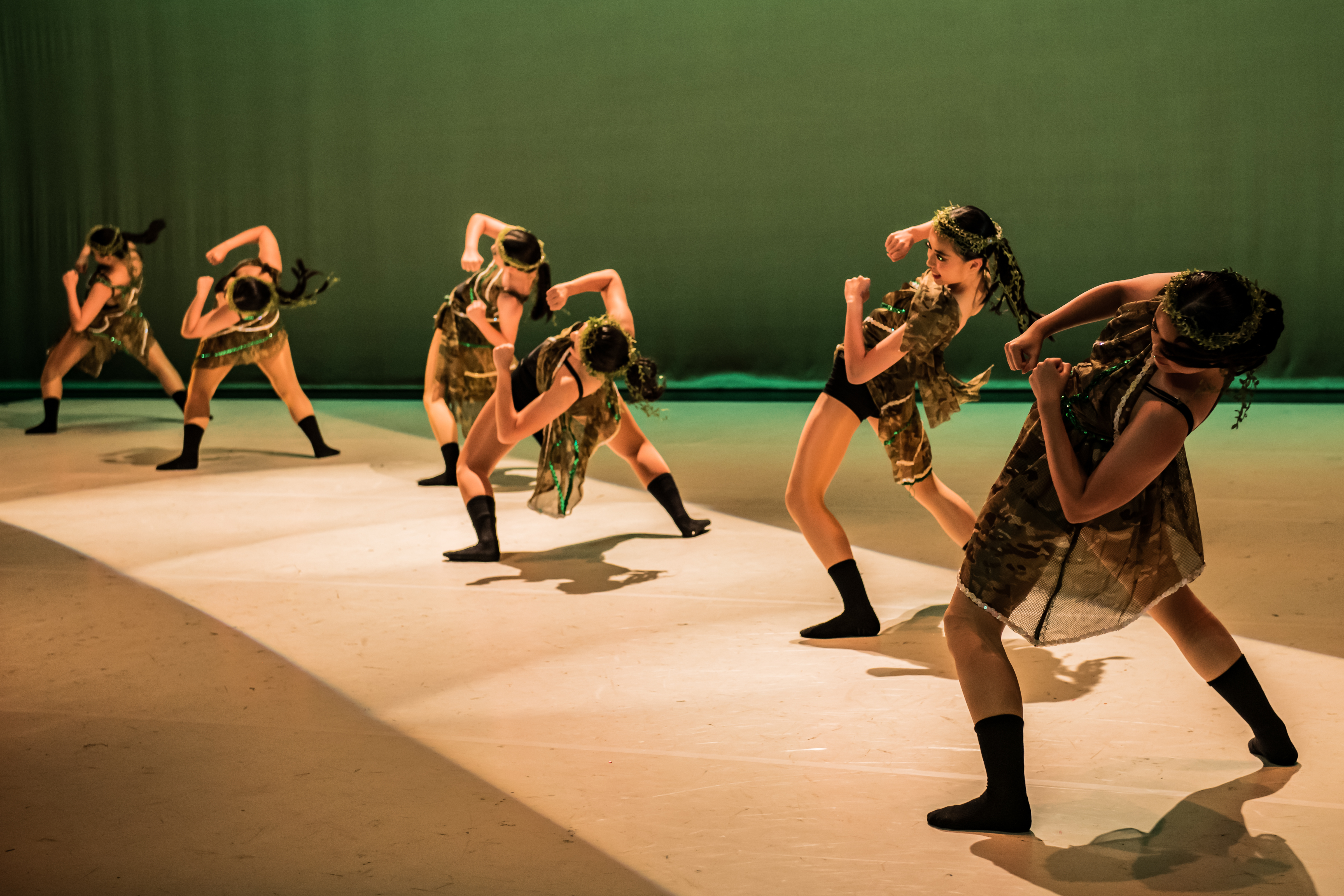 20241208 Palette in Motion_16