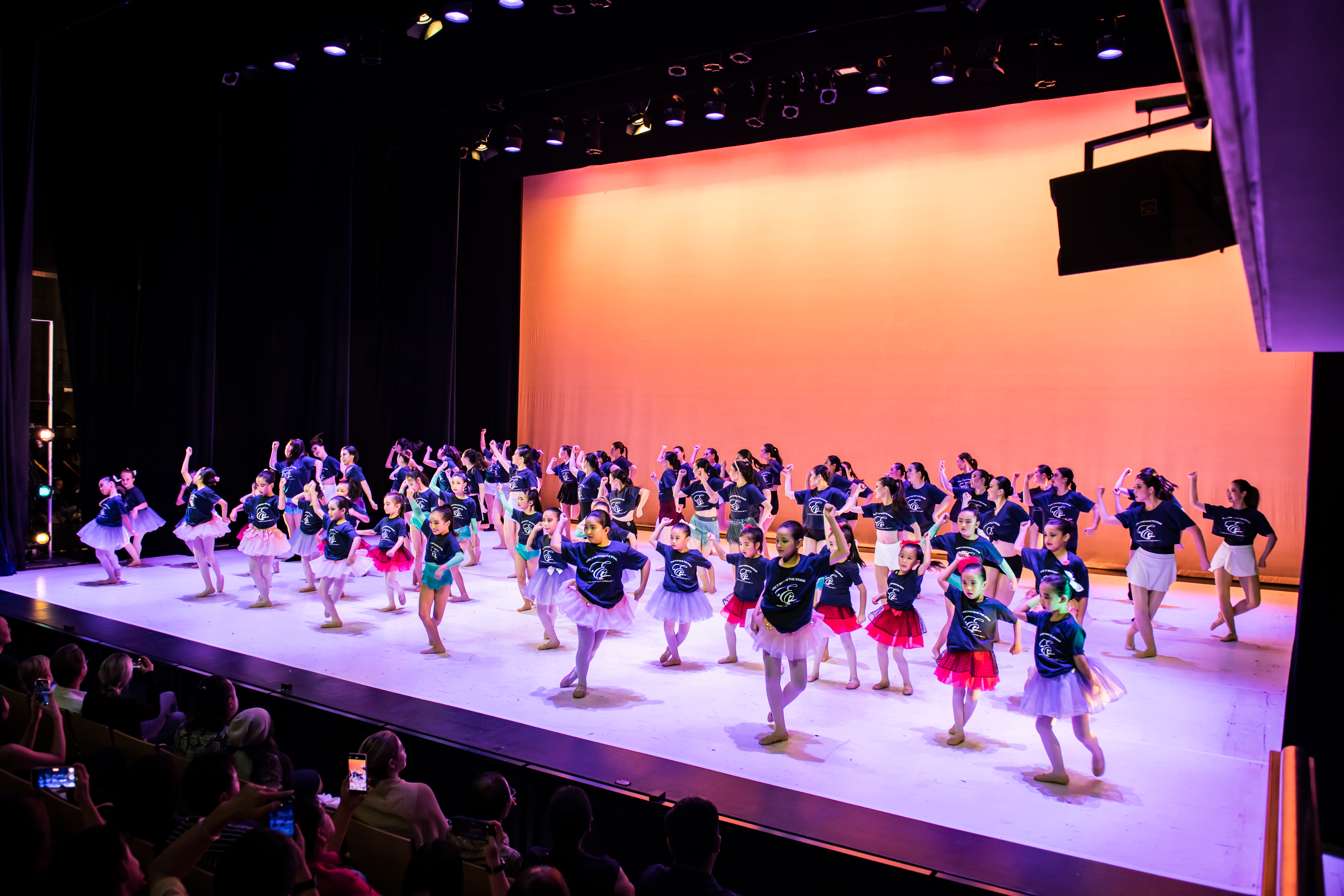 20241208 Palette in Motion_23