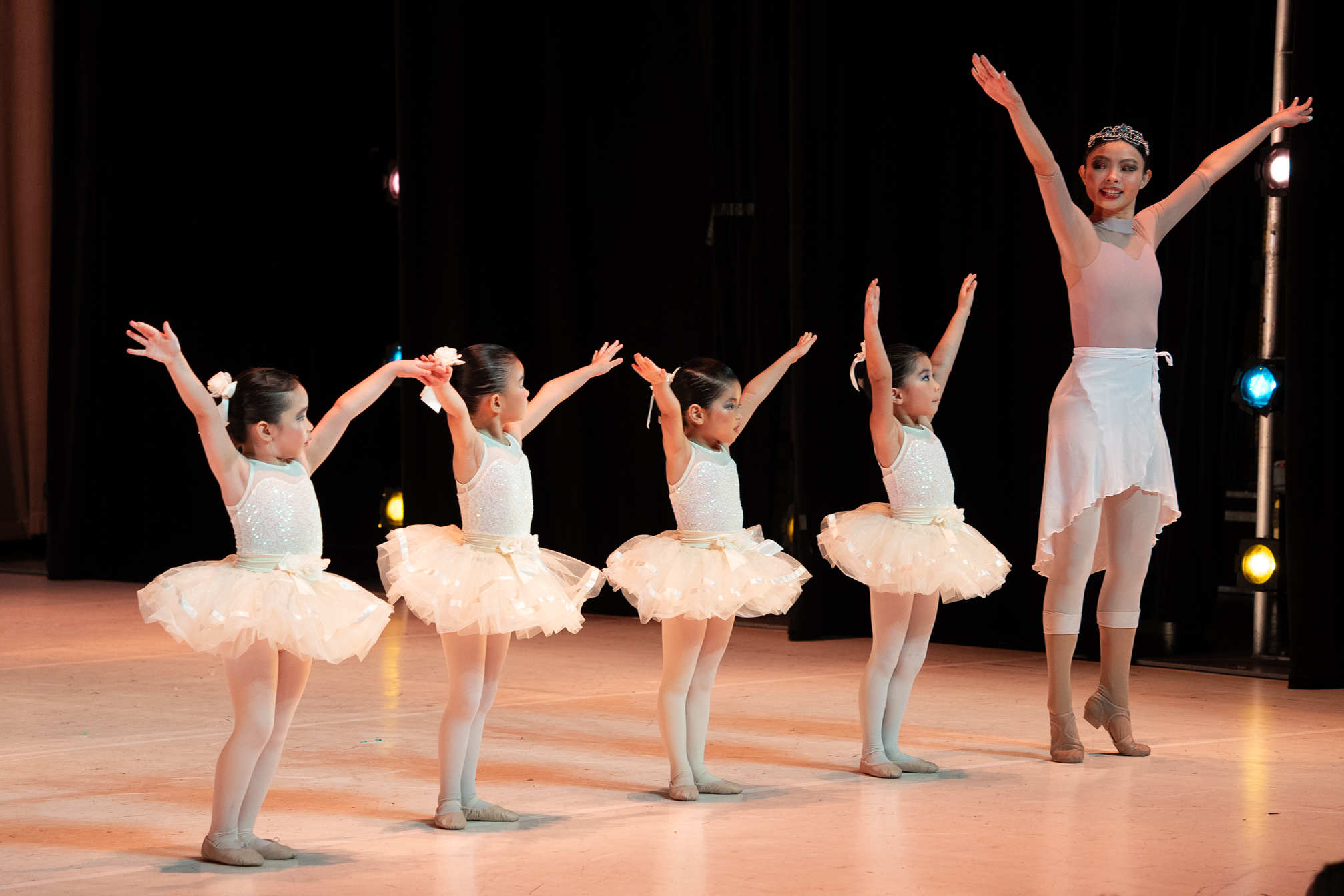 20241208 Palette in Motion_24